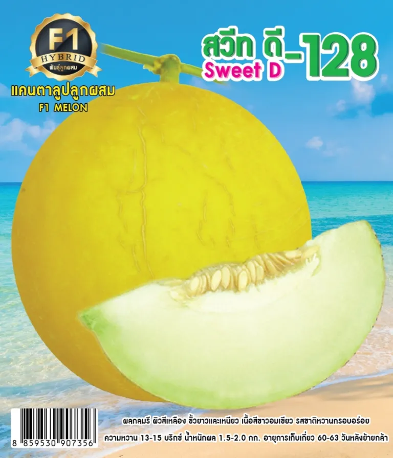 วิธีการปลูกแคนตาลูป สวีท D-128
