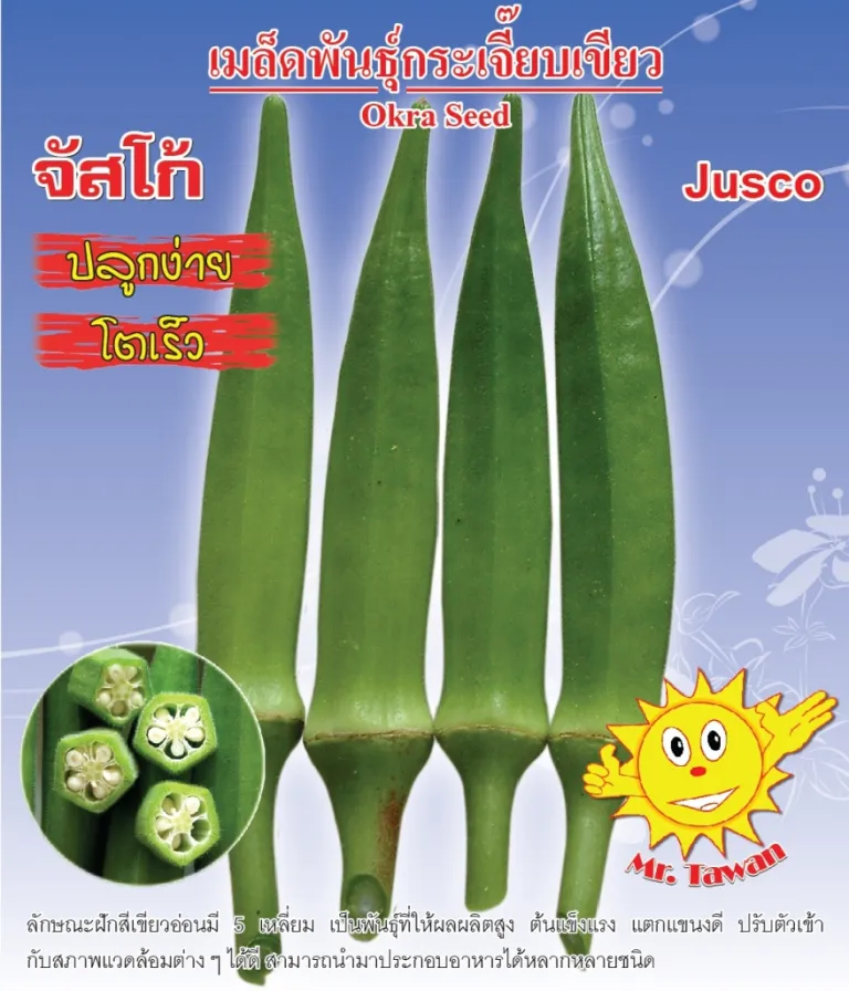 วิธีการปลูกกระเจี๊ยบเขียว จัสโก้