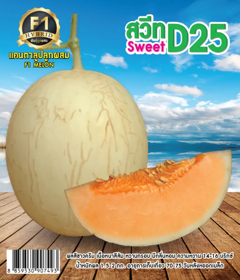 วิธีการปลูก แคนตาลูป สวีท D25
