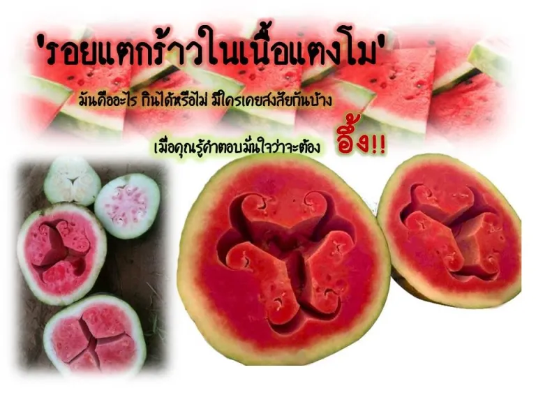 รอยแตกร้าวในเนื้อแตงโม