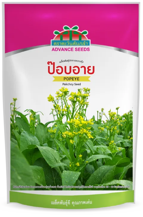 ป๊อบอาย