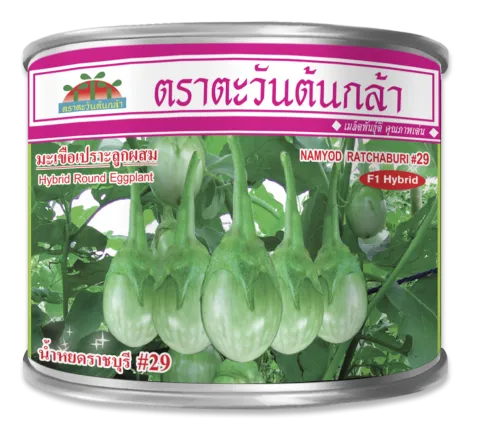 น้ำหยดราชบุรี #29