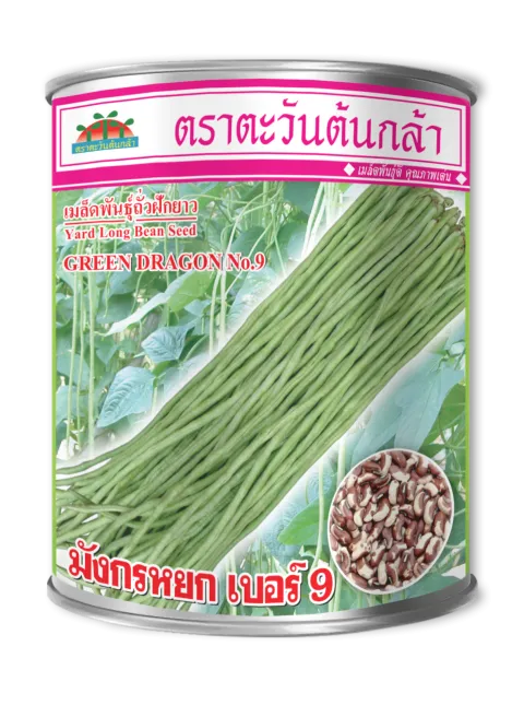 มังกรหยก 9