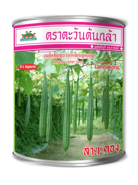 ลำตะคอง