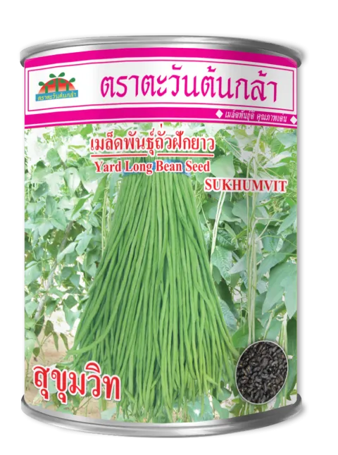 สุขุมวิท