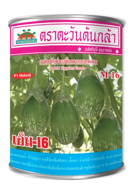 เอ็ม-16