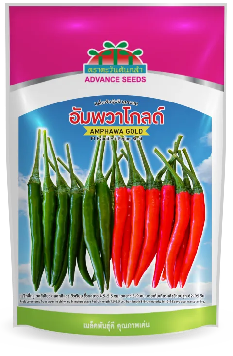 อัมพวาโกลด์