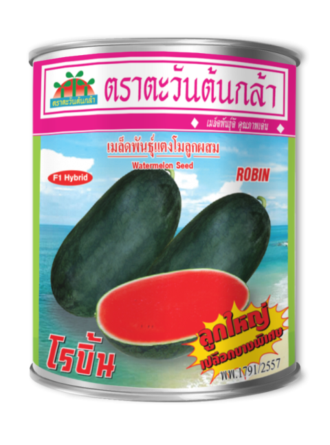 โรบิ้น #02