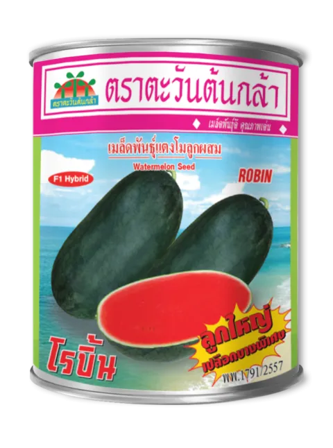 โรบิ้น #02