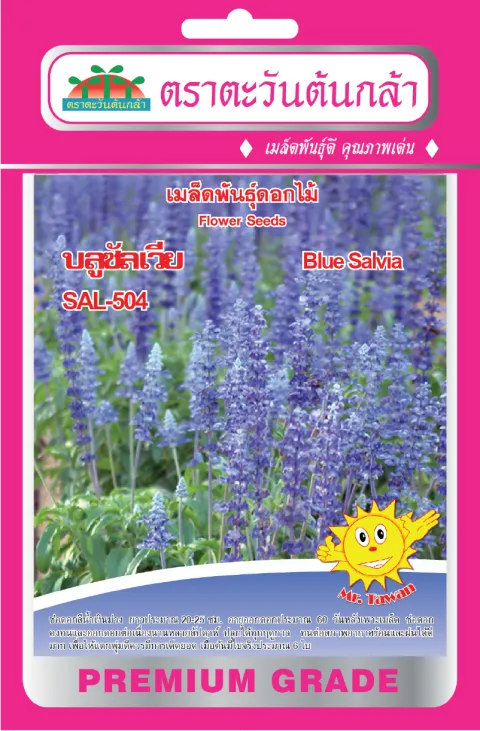Salvia SAL-504