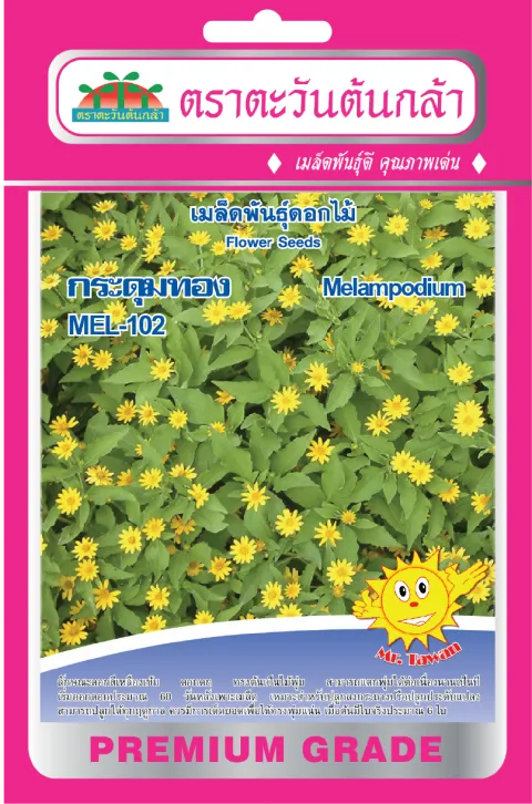 กระดุมทอง MEL-301