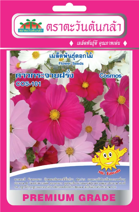 ดาวกระจาย COS-902
