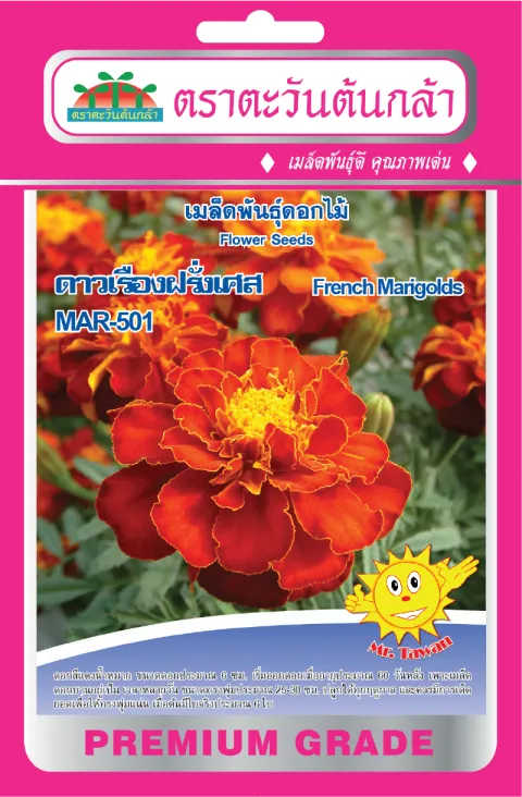 French Marigold MAR-501