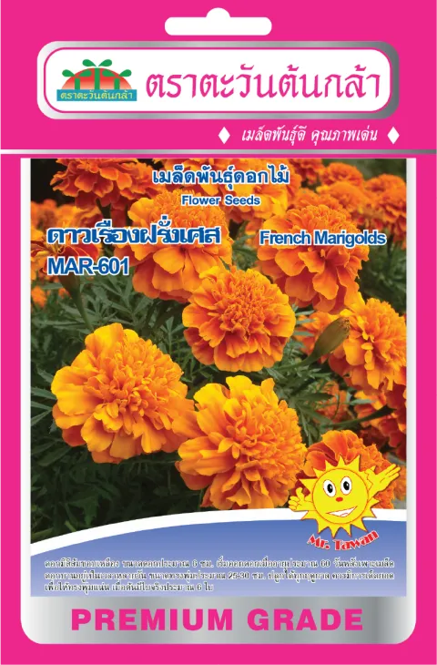 French Marigold MAR-601
