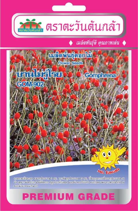 บานไม่รู้โรย GOM-902
