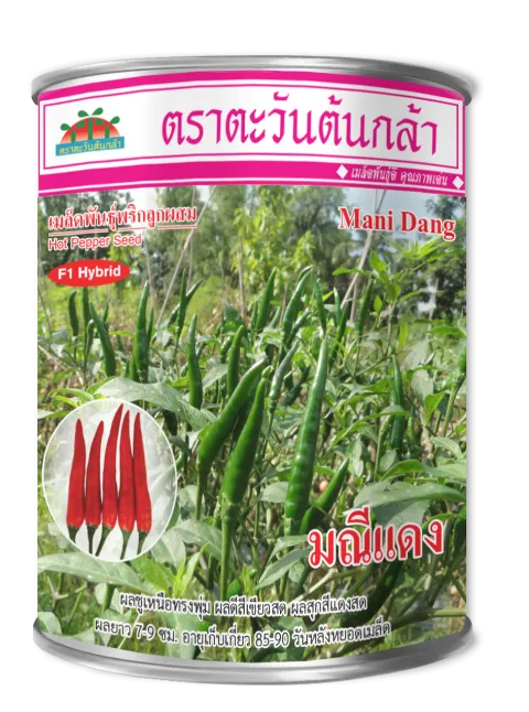 มณีแดง 1