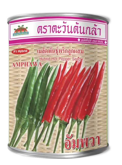 อัมพวา