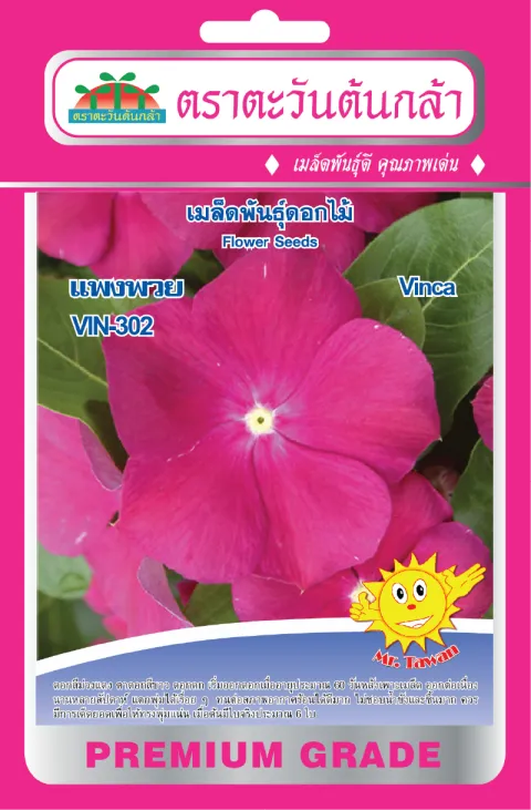 แพงพวย (ลูกผสม) VIN-001