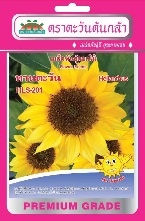 ทานตะวัน HLS-201