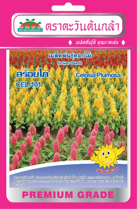 สร้อยไก่ CEL-101
