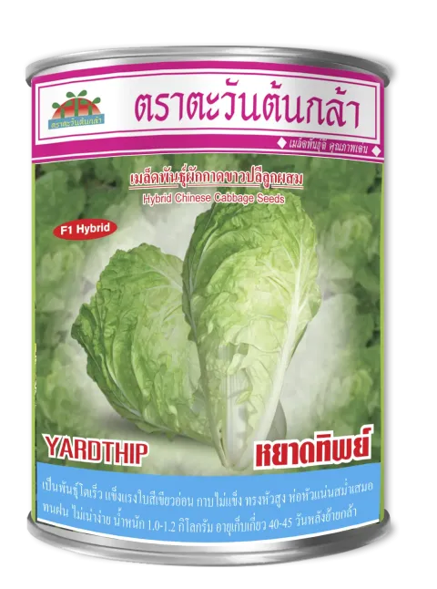หยาดทิพย์