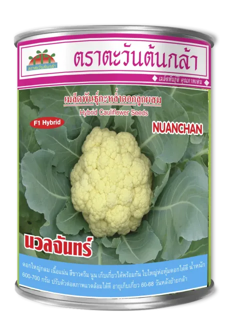 นวลจันทร์