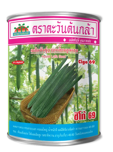 ซิโก้ 69