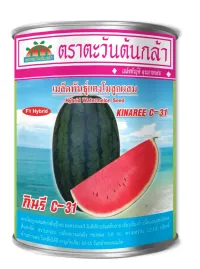 กินรี C-31