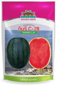 กินรี C-28
